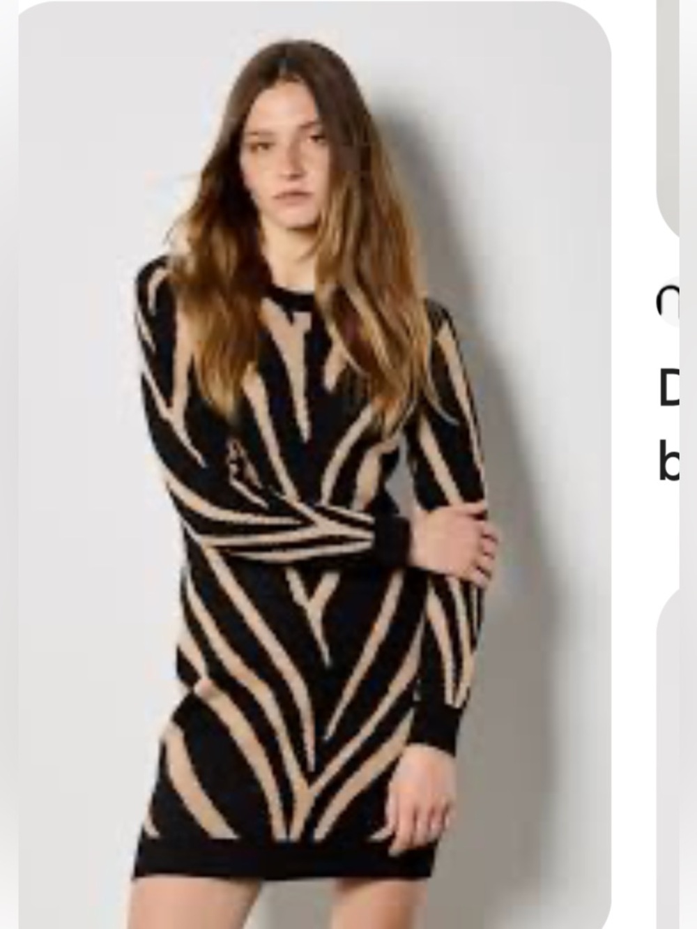 Long Sleeve Zebra-Print Knit Dress in Taupe and Black